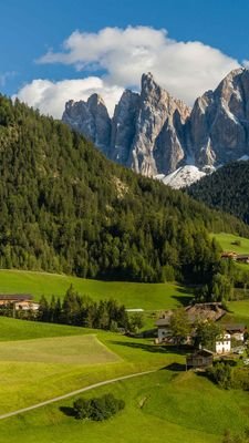 Afonso_Angie's profile picture. 