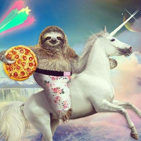 ryguide's profile picture. 