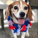 Debbie Knight - @DebbieK99598066 - Twitter