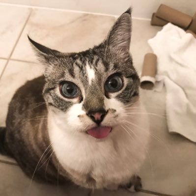 albionwings's profile picture. 