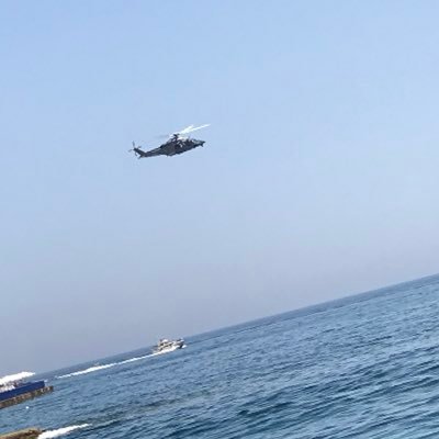 mega_loganov's profile picture. веселый малый)))