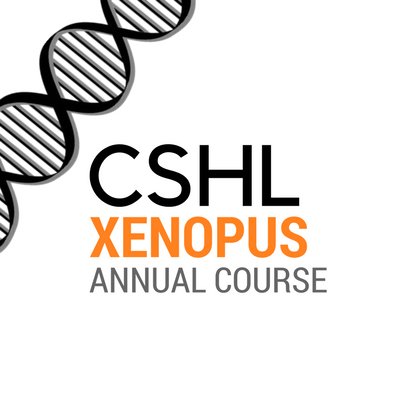 We are the official Twitter group for all current attendees and alumni of the CSHL Xenopus course. We hope to promote everything great that our alumni are up to