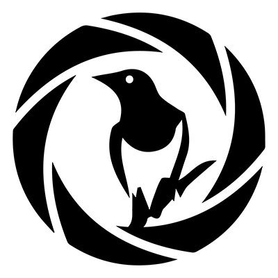 nufclens's profile picture. Newcastle United in photos. We do not own any of the images posted; we merely just edit them. *Pictures can be removed upon request.*