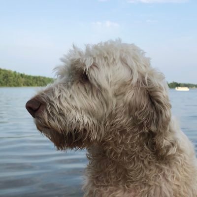 RitaPizzaPie's profile picture. Pics, Ticks & Pricks