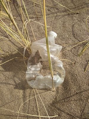 FreeHartlepool's profile picture. Plastic free Hartlepool is a community group dedicated to reducing plastic waste and promoting community spirit