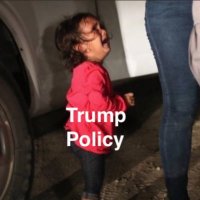 Barb Florey (@floreybarb) 's Twitter Profile Photo Barb Florey (@floreybarb) 's Twitter Profile Photo