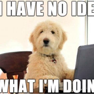 Thebestdogmemes Instagram Posts Gramho Com