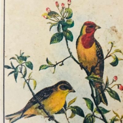 maria_home_80's profile picture. 