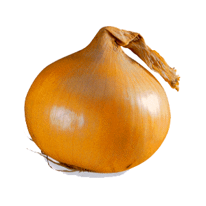 tamanegi_onion's profile picture. 