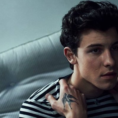 paegemendes's profile picture. I LOVE SHAWN MENDES AND IM NOT ACTIVE ON TWITTER.