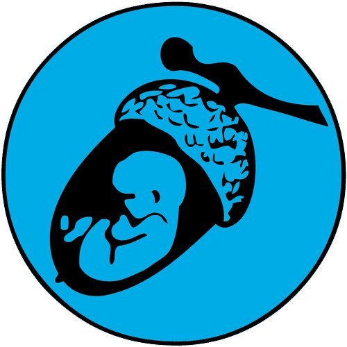 On a mission to transform the way our society approaches pregnancy, birth, babies & parenting - one small acorn at a time.
Croydon, London, & the South East