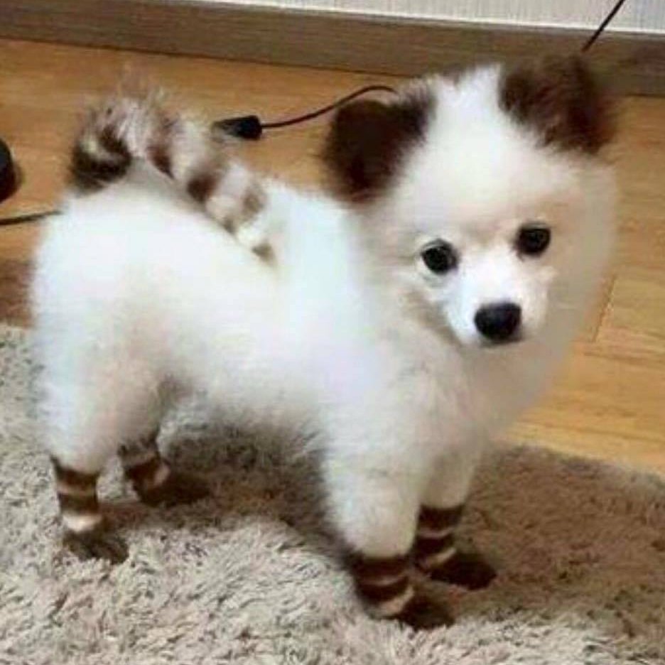 zlotasmoczyca's profile picture. Vegan