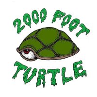 2000 Foot Turtle(@tthouftturtle) 's Twitter Profile Photo