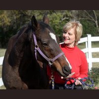 OTTB Sonny Woods(@OttbSonnyWoods) 's Twitter Profile Photo