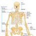 Human Anatomy (@bodyanatomy) Twitter profile photo Human Anatomy (@bodyanatomy) Twitter profile photo