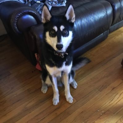 BRICKBOYBTW's profile picture. 