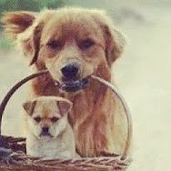 GabrielP4checo's profile picture. snap: gabrielpcheco1