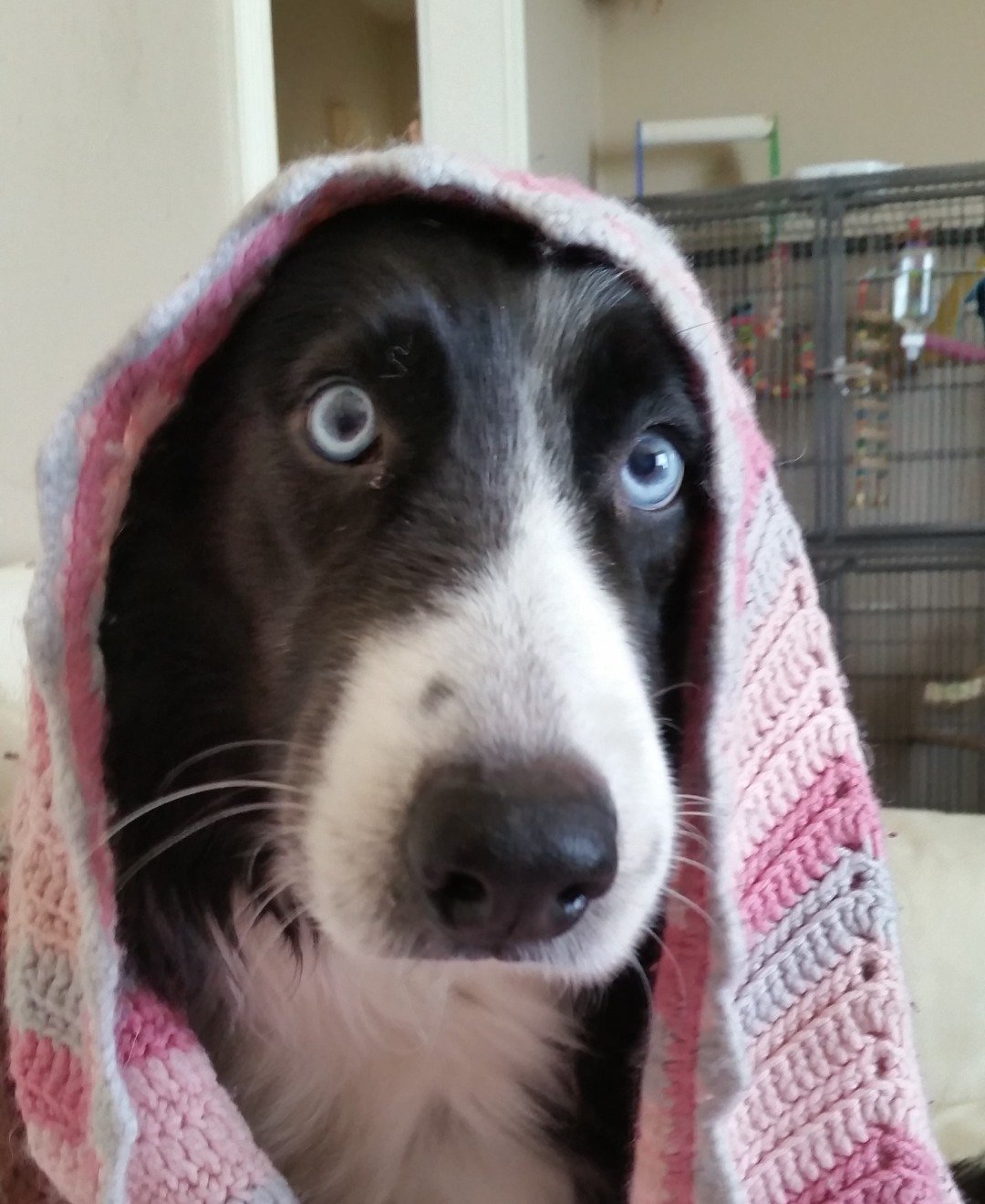 Nyenna96's profile picture. 