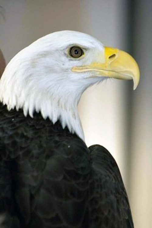 a_edver's profile picture. 