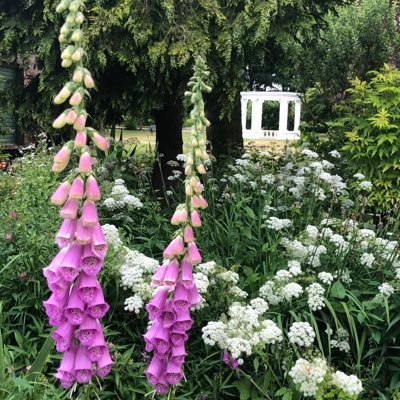 A charming 5 star silver Tudor luxury bed and breakfast on the Cheshire/Staffordshire/Shropshire borders. Set in 2 acres of stunning gardens, a tranquil retreat