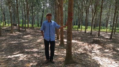 ismailtermizi's profile picture. 