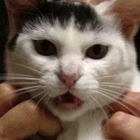 R.E. (@athr15) Twitter profile photo