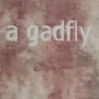 Gadfly Girl(@gadflygirlw6) 's Twitter Profile Photo