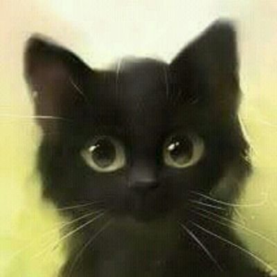 marbett87's profile picture. 