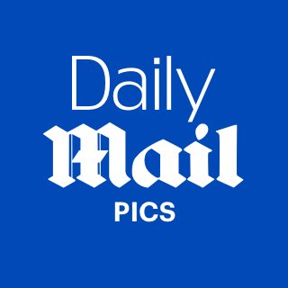 Daily Mail Pics Profile