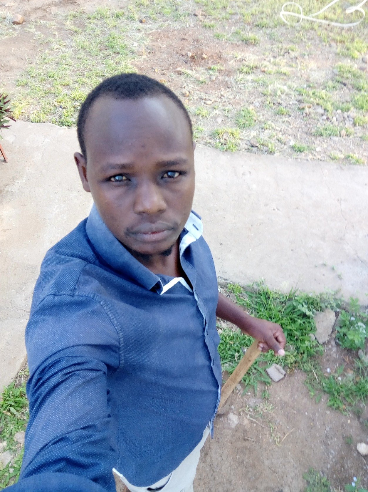 ndie_robin's profile picture. 