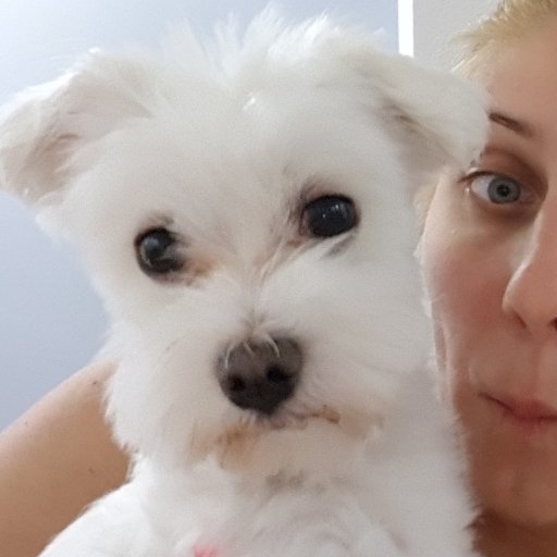 Semi_Grey's profile picture. CND_Tier_4