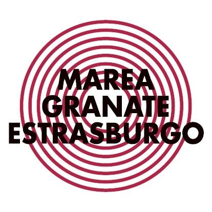 MGEstrasburgo's profile picture. 