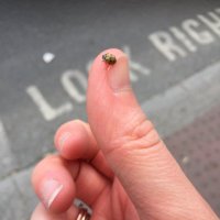 claire walsh (@clairwals) 's Twitter Profile