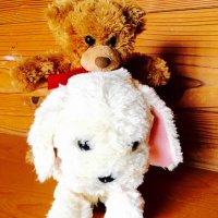 ゴン🥒 (@12601_gon) 's Twitter Profile Photo ゴン🥒 (@12601_gon) 's Twitter Profile Photo