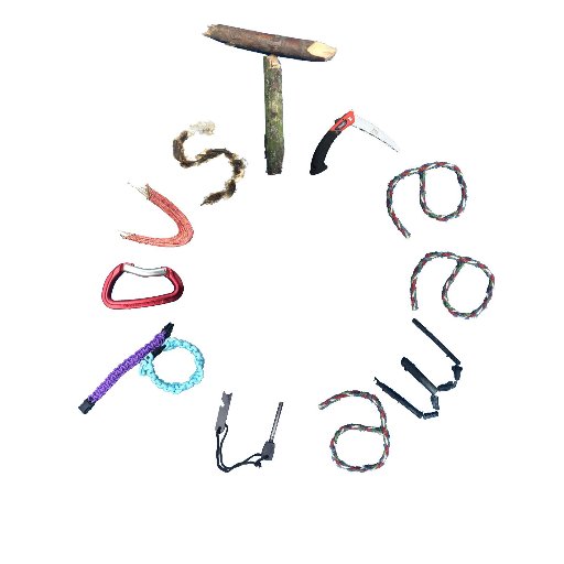 TreemendousFS's profile picture. 