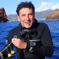Nathaniel Bensoussan (@nat_bensoussan) 's Twitter Profile