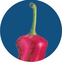 PEPperPRINT - Antibody Epitope Discovery Services (@pepperchip) 's Twitter Profile