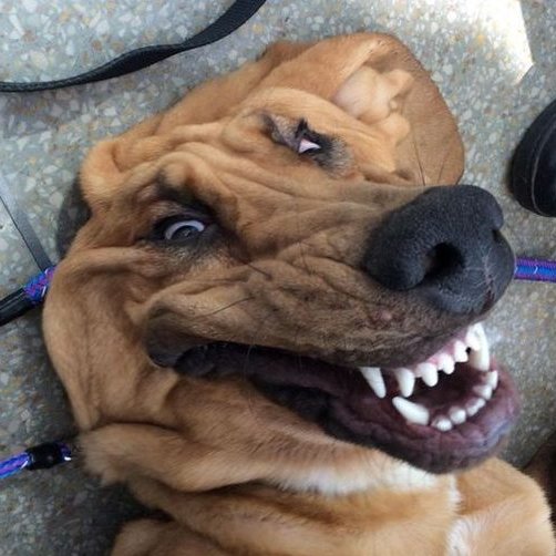 SirSpamalot8's profile picture. I'm bored.  Spam me.  IWantYour5pam@hotmail.com