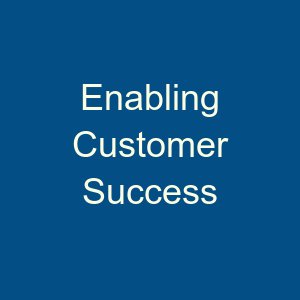 Blue Nugget Consulting enables businesses to scope, design, embed and sustain their customer success strategy.