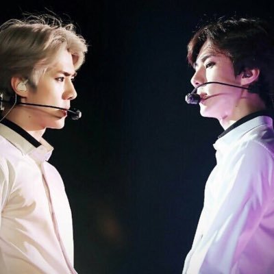 TWO MOONS JAPAN 🌸 on Twitter: "🐾 こんばんは。もしかしてピンク毛布の日本の共同購入問い合わせが多くて、手伝って