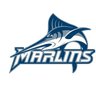 VWUXCTF's profile picture. Virginia Wesleyan University Men's and Women's Cross Country and Track and Field Teams. ODAC Conference. South/Southeast Region. NCAA III.