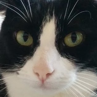 cache invalidation, naming things, and off-by-one errors in a trenchcoat. trapped in an eternal altercation with computers.