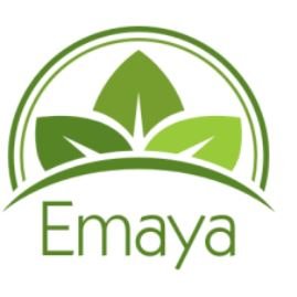 EmayaGeek's profile picture. Startup de jeunes femmes entrepreneures dans le domaine de l'agriculture.
