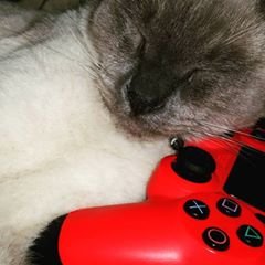 poncho_mendez's profile picture. Unix and Linux admin, movie lover, video game lover, and auto declared geek