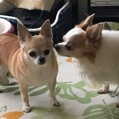 lbSt5rCkSCUML87's profile picture. jam project。。。影山ヒロノブ、遠藤正明、きただにひろし推しの24歳！