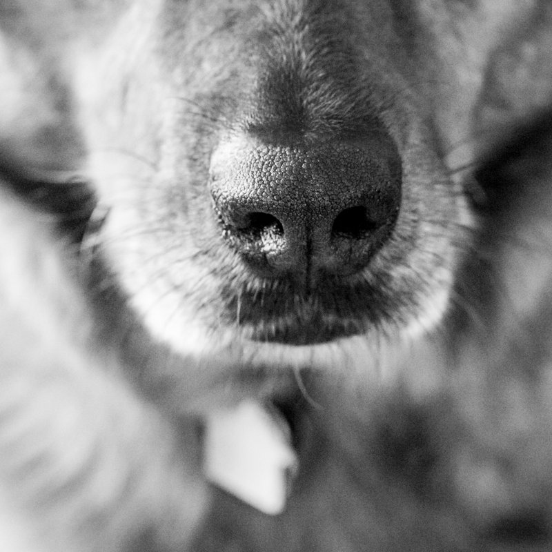 DehonPhoto's profile picture. Photographer obsessed with mix-media. Podcast Junkie. Subject of King Manny I.