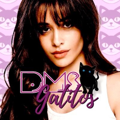 ˗ˏˋ ¡Bienvenido! ˎˊ˗
.•*¨*•.¸¸♬.•*¨*•.¸¸♬.•*¨*•.¸¸♬.•*¨*•.¸¸♬ .•*¨*•.¸¸♬.•*¨*•.¸¸♬
Aquí lograrás cumplir tus sueños, follows o dms que desees ♡ —kitten🐱