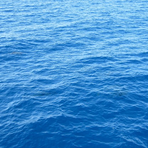 Yosemite250's profile picture. 