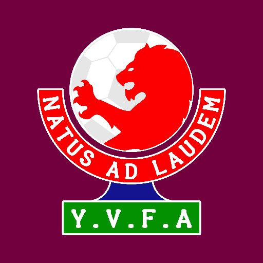 Young Villa Football Academy.
Promoting grassroots football.
Helping every child believe & develop their hidden talents through football.
#AVFCFAN #VTWD