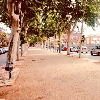sederareus2018's profile picture. Salvem el passeig, salvem Reus